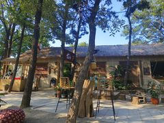 -沂蒙山旅游区云蒙景区(蒙山国家森林公园)