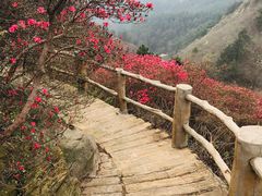-木兰云雾山