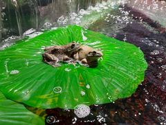 -传统菜农庄(皇姑路店)