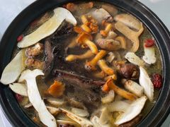 -蘑统田下·野生菌火锅