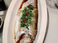 -新雅粤菜馆(南京东路店)