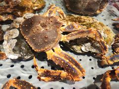 -开海·红岛海鲜虾水饺(石老人店)