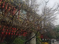 -钦善斋(武侯祠店)