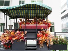 -卡普里披萨·牛扒·下午茶