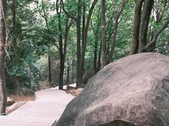 -火炉山森林公园