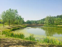-东郊湿地公园
