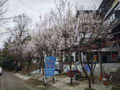 -贵阳市花溪国家城市湿地公园