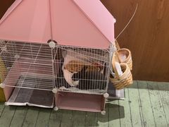 -大象厨房(重庆道店)