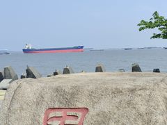 -上海滨江森林公园