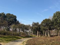 -尚贤河湿地