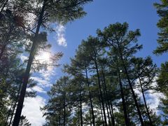 -莫尔道嘎国家森林公园