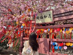 -祥源·阜阳生态乐园