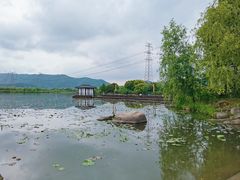 -长田漾湿地公园