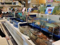 水产区-海景壹号大酒店(滨湖店)