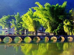 -靖西鹅泉风景区