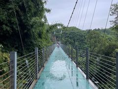 -川西竹海景区