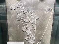 -大连自然博物馆
