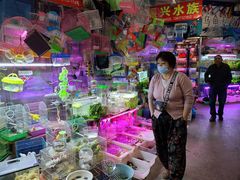 -双季花艺园艺市场(浦东店)