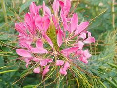 -人民公园(罗湖区)