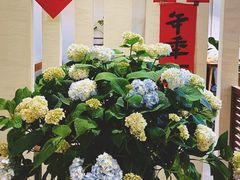 -苏湘杭(普罗旺世店)