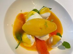 -蝶舍·MAISON PAPILLON