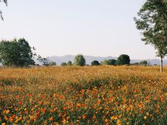-良渚古城遗址公园
