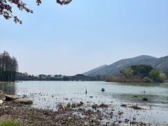 -长广溪湿地公园