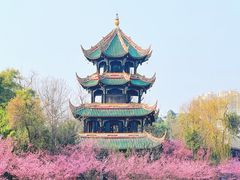 -望江楼公园