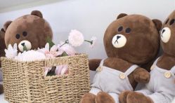 -薇漫里纹眉半永久连锁品牌