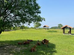 -良渚古城遗址公园