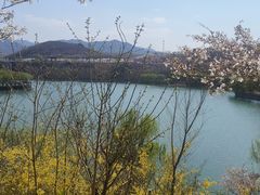 -樱花山风景区