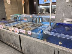 -船歌·鱼水饺青岛菜(闽江二路店)