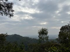 -滴水岩森林公园