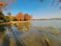 -高子水居