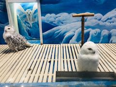 -成都浩海立方海洋公园