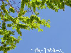-龙沙公园