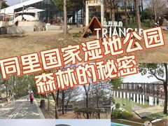-同里国家湿地公园