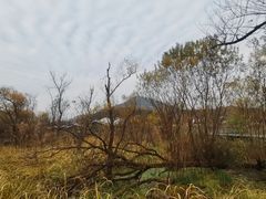 -西湖风景区-江洋畈生态公园