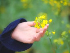 -桤木河湿地公园