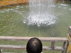 -呀路古热带植物园