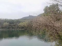 -杭州半山国家森林公园