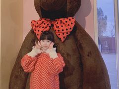 -济州岛泰迪熊博物馆