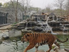 -北京野生动物园