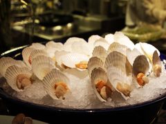 扇贝-君悦酒店·乐厨·高空自助餐(青年大街店)