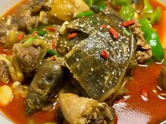 -前海沿·青岛菜(大拇指广场石老人店)