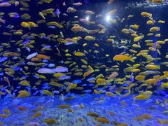 -成都浩海立方海洋公园