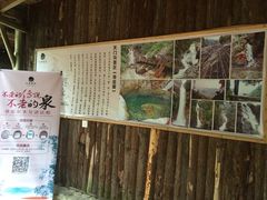-天门沟九州驿站树上汤泉