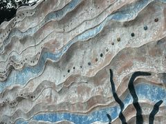 -广东惠东海龟国家级自然保护区