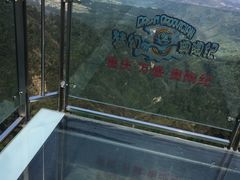 -梦幻奥陶纪景区