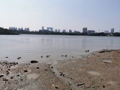 -海珠湖公园